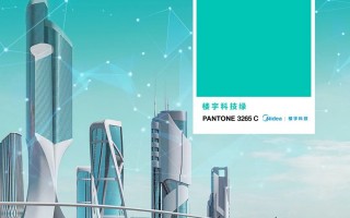 红绿科技，红绿集团