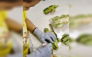 夏季女装短视频制作 男孩在家用西瓜皮自制“西瓜战衣“，创意视频走红网络