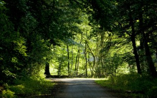 生活洗脑短视频合集剪辑 一夜之间，这过气顶流又翻红了